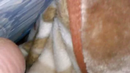 فارسی, خروس سیاه بزرگ, کون ૦ پنج شنبه دانلود فیلم سوپر سکسی خارجی